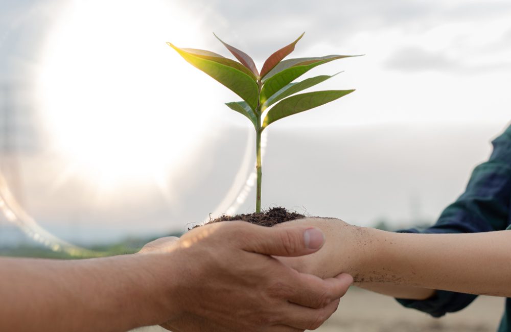 environmental-1